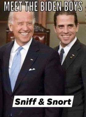 biden boys