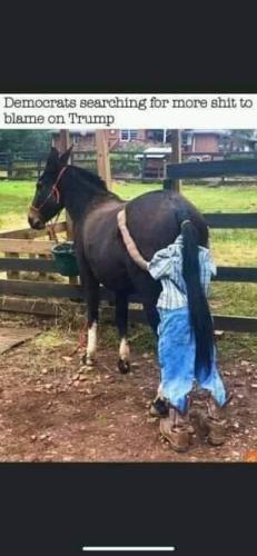 FB_IMG_1635719041425