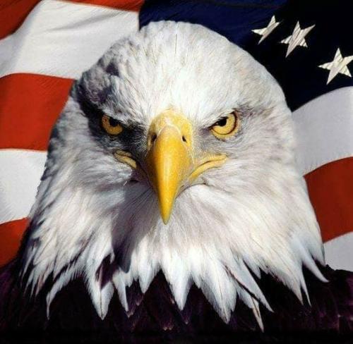 09:33:11 GMT-0400 (EDT)