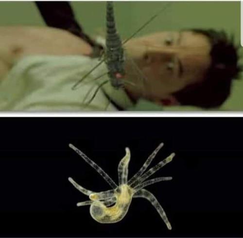 04:37:45 GMT-0500 (CDT)