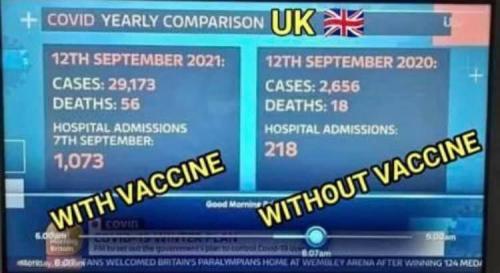 vax deaths uk