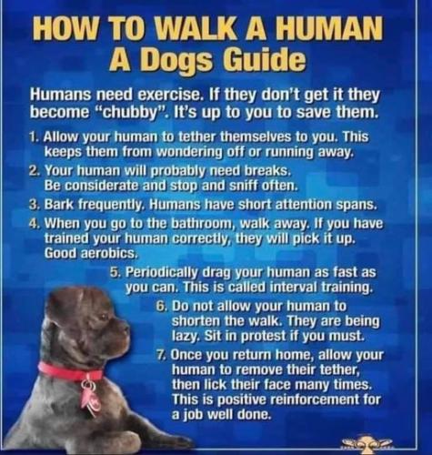WALKING YOUR HUMAN