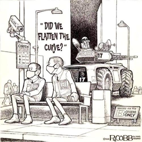 DID WE FLATEN THE CURVE