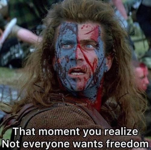 photo_2021-08-31_21-21-20