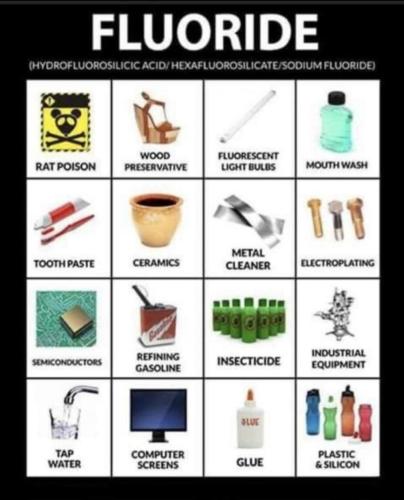 Screenshot_20211010-213933_Wimkin Uncensored