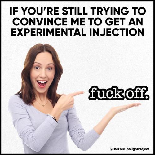 245565868_2649472615359936_6371078728394052697_n