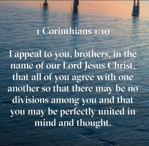 Screenshot_20211013-101128_Bible