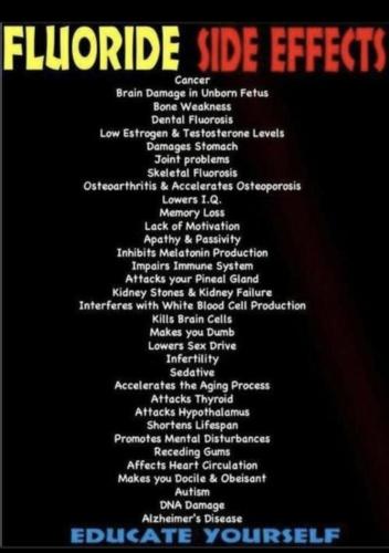 Screenshot_20211010-220444_Wimkin Uncensored