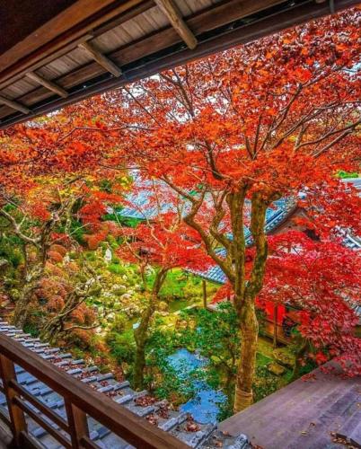 244367931_407407054088636_8938031007257446846_n