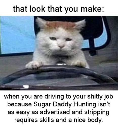 when you are driving to your shitty job because Sugar Daddy Hunting isnt as easy as advertised and stripping requires skills and a nice body