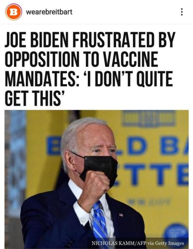 Screenshot_20211008-081545_Instagram