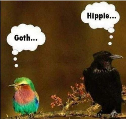 FB_IMG_1633470410917