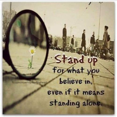 244742745_2040702666086409_4353437568368701262_n