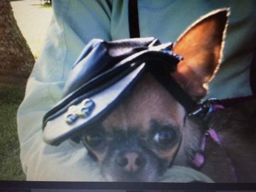 FB_IMG_1635533766210