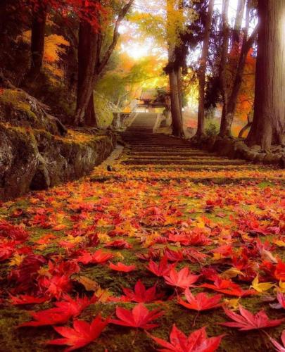 244585746_3056445181293363_7186337146137920255_n