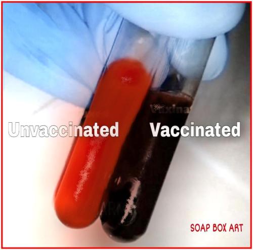 13:02:31 GMT-1000 (HST)