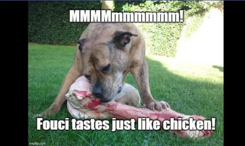 Screenshot_20211030-145616_DuckDuckGo