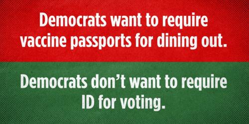DEMOCRAT HYPOCRISY ON VOTING