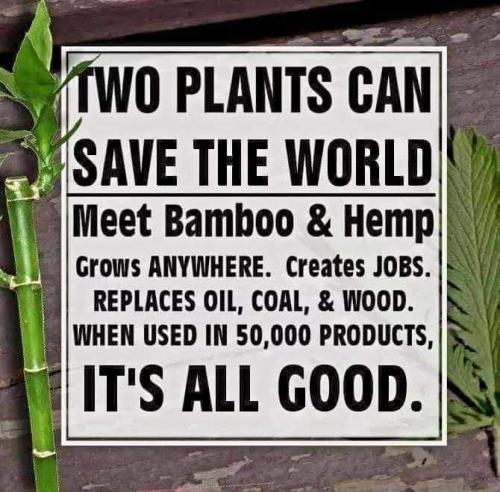 FB_IMG_1635177160515