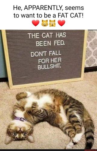 244426759_10222986258538959_6035055858771607661_n