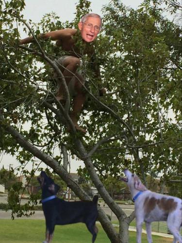 IMG_20211025_235237_075