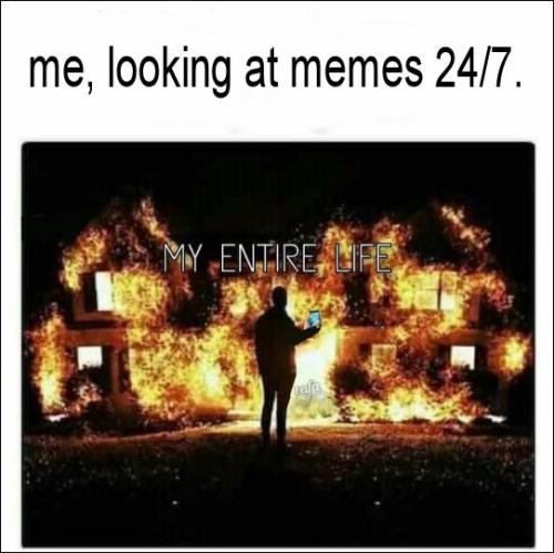 me looking at memes 24-7