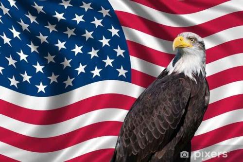 Eagle and flag