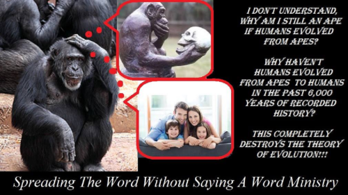 243968687_962029197861125_3596413198291661793_n