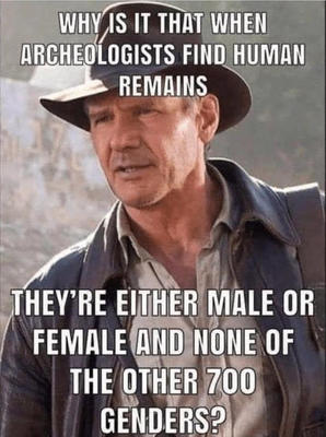indy+VS+gender+wokeness