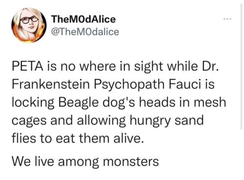 photo_2021-10-26_19-57-12