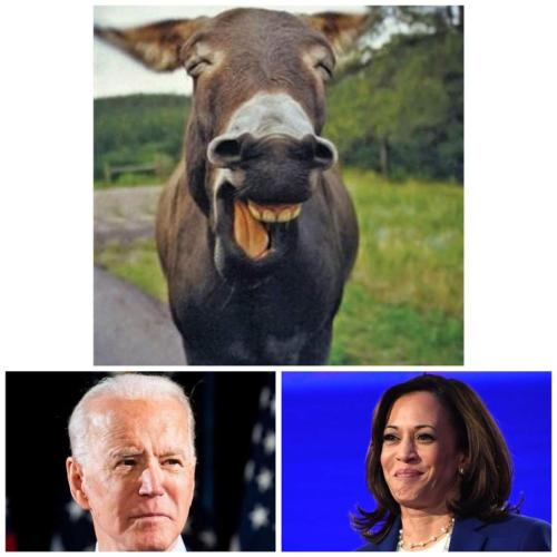 15:06:11 GMT-0500 (CDT)