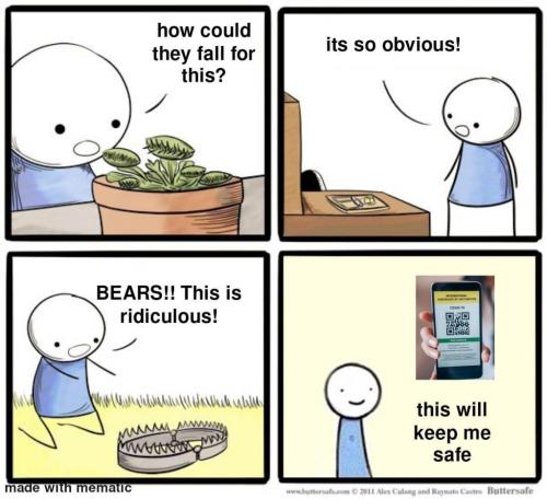 IMG_20211015_201333_598