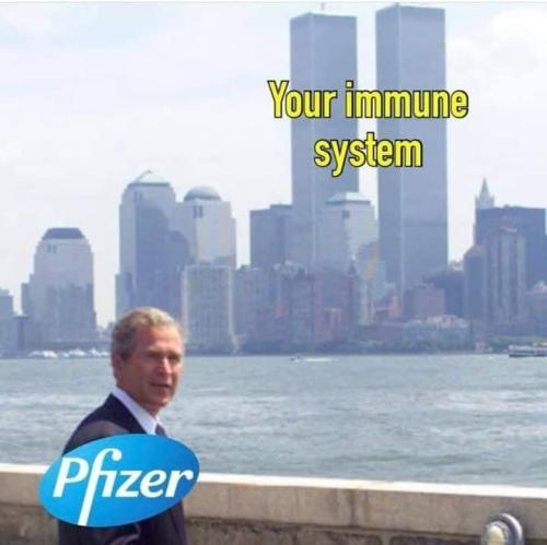 photo_2021-10-08_08-46-17