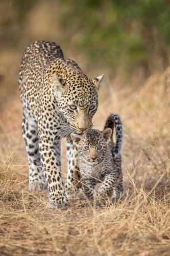 946b77e59de30b401042b2f9f172d97f