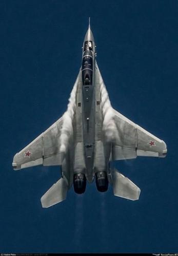 244522865_3069935116558493_1756053839743063985_n