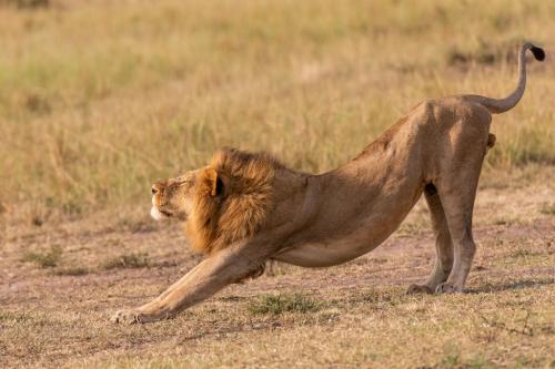 244548820_10158890858023375_7547762925449610461_n