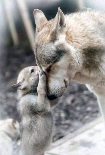 2b1630f3f70d44d13c1b554de8a31708