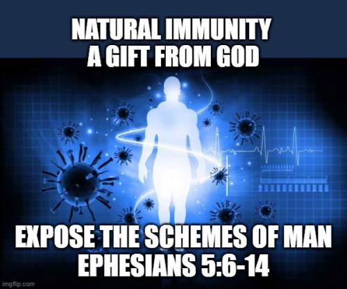 Natural Immunity from God 1