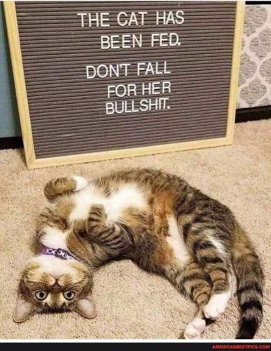 16:07:41 GMT-0400 (EDT).image