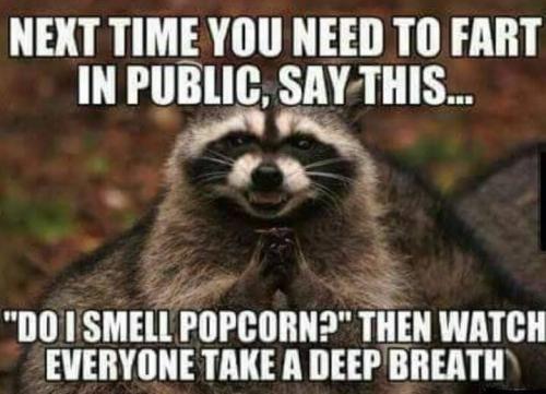 243626293_416931179788152_3678281328347657660_n