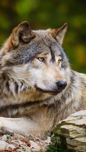 ea648aa72ce93c774ec98df097719048