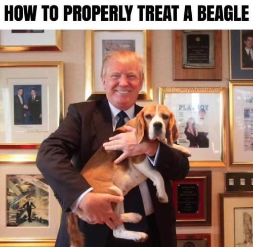 08:58:58 GMT-0400 (EDT)