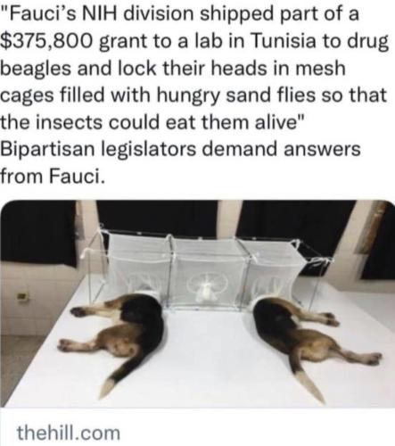 14:26:50 GMT-0700 (PDT).image