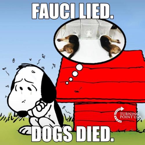 246851857_422125752953545_2929920360821430293_n