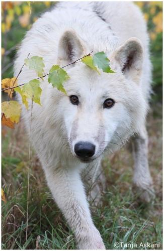 19:58:31 GMT-0500 (CDT)