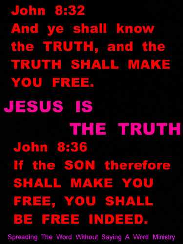 243999877_339264651286039_5454777128646515223_n