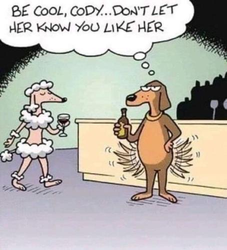 243176752_4734458523245278_91209305796907379_n