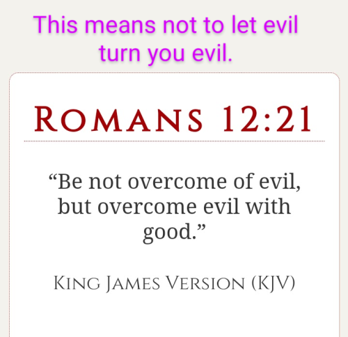 Screenshot_20211013-142034~2