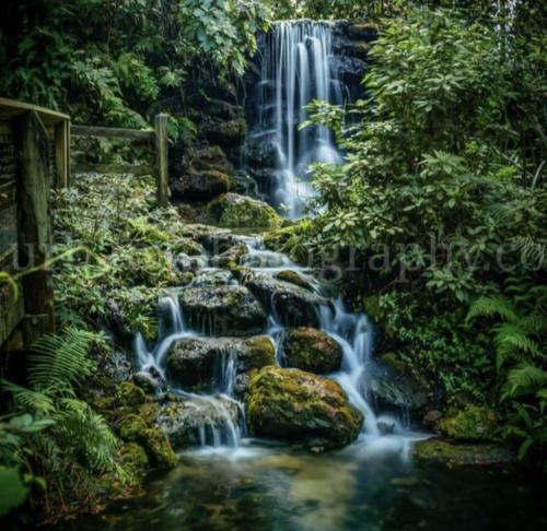 Rainbow Springs SP Falls