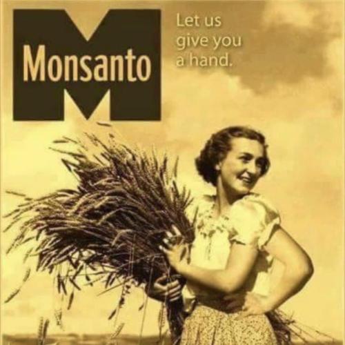 photo_2021-10-27_17-07-17